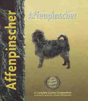 Affenpinscher For Sale